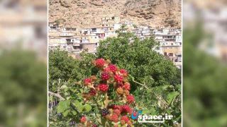 اقامتگاه بوم گردی خانه کدخدا-روستای فارسیان-آزادشهر-استان گلستان